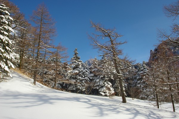 Blue and White