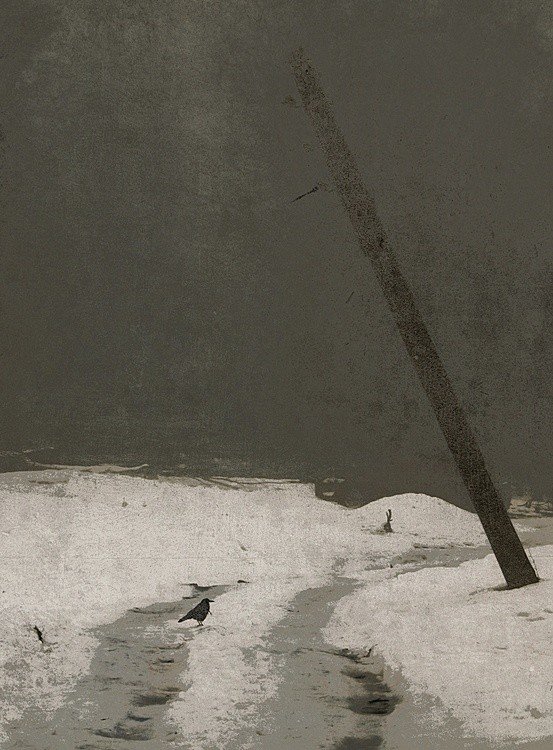 thaw