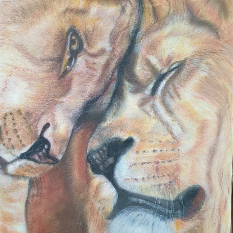Lion love 4