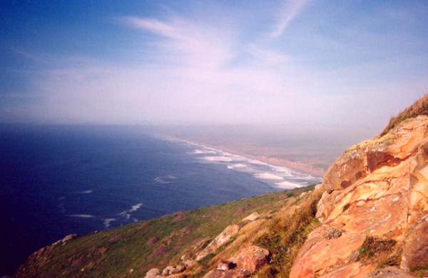 point reyes 2