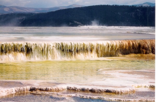mammouth hot springs