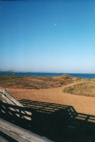 beach shadows