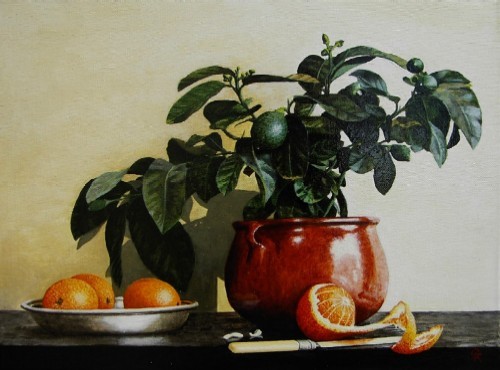 Lemon tree with oranges