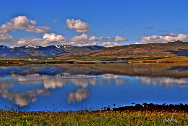  Peacefulness in Whale-fjord !