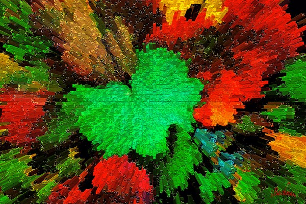  Autumn colors splash !