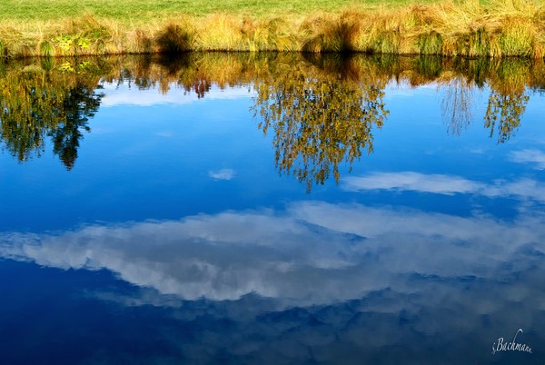  Reflection of the sky !