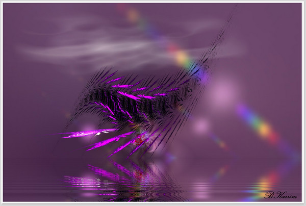 Dance of colours
