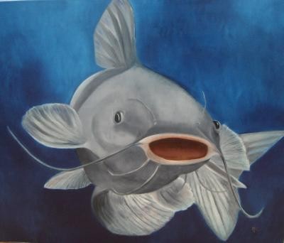 Catfish