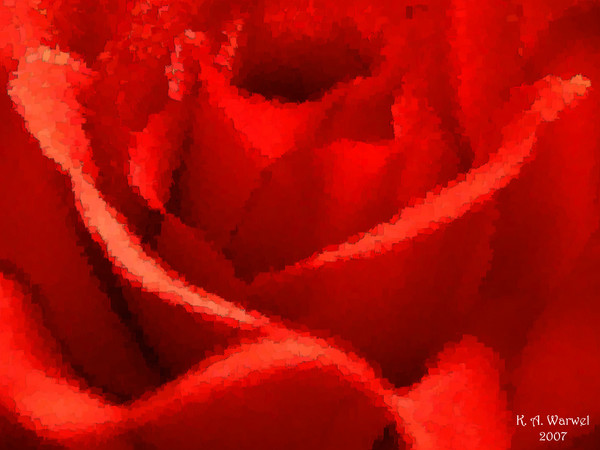 Red Rose