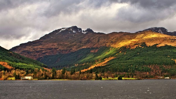 The Cobbler