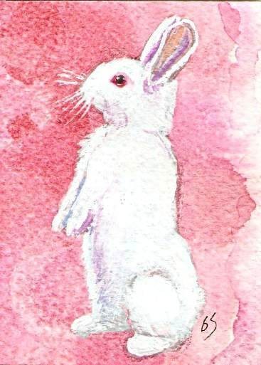 Begging Bunny