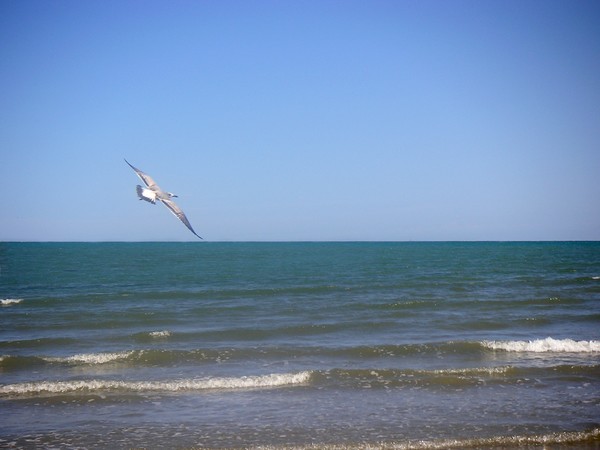 Being One With The Gulf - Soaring