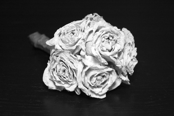 White Roses
