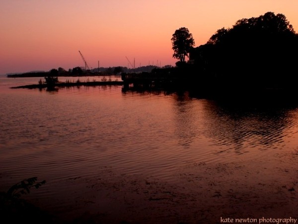 Dark Waters