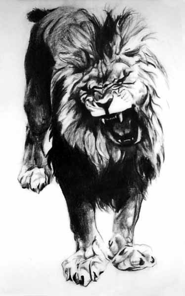 _Lion_Dwg_resized