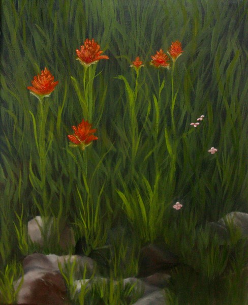 Mammoth Wild Flowers
