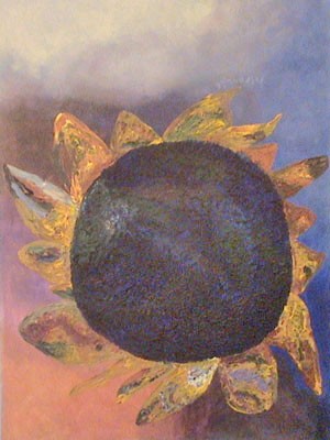  The Sunny Specimen