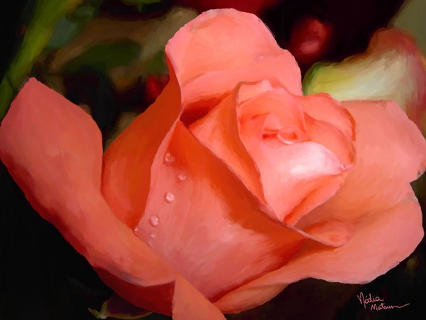 poetry rose