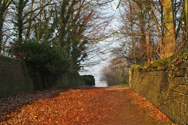 Church Lane, Harewood