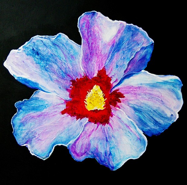 Lavender Hibiscus