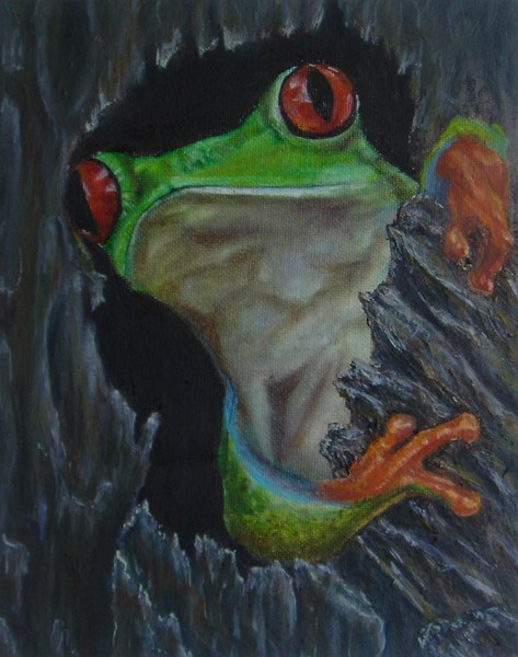 peek-a-boo tree frog