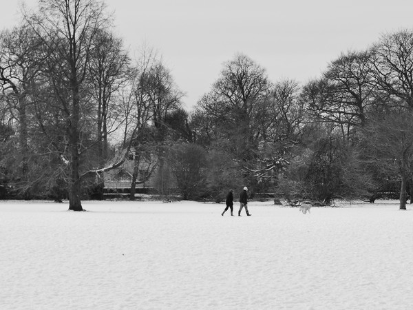 A Winter Walk