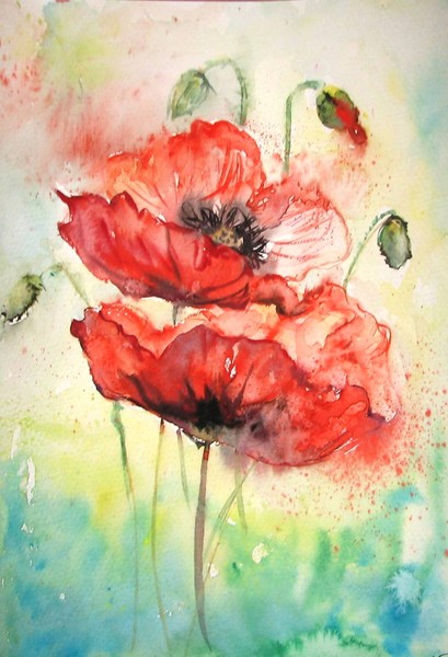 Poppies watercolour painting