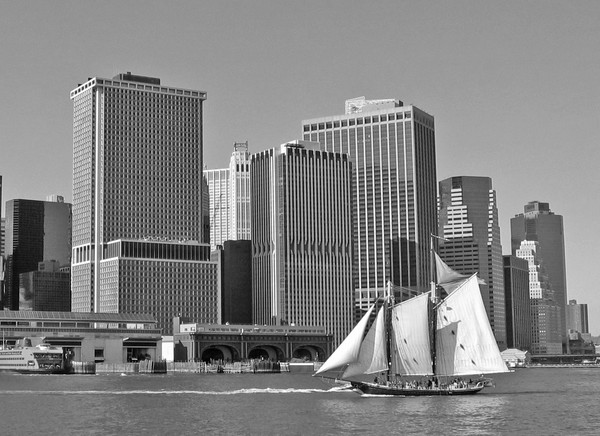 New York City ~ Contrasts