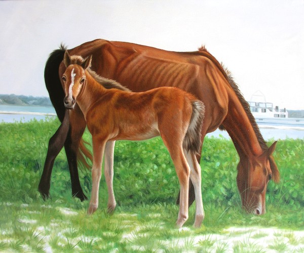 New Birth Shakleford Banks