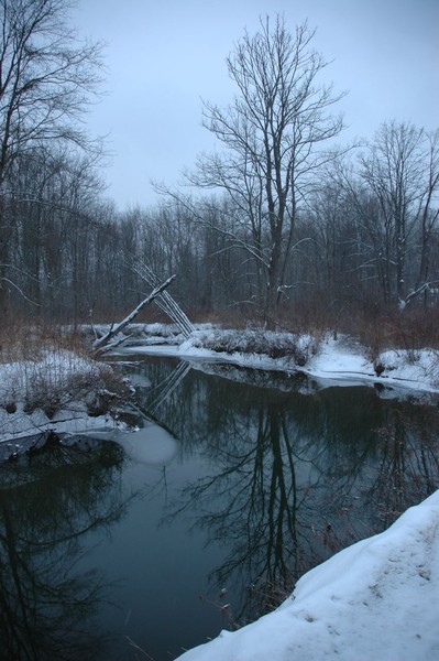 winter Scene