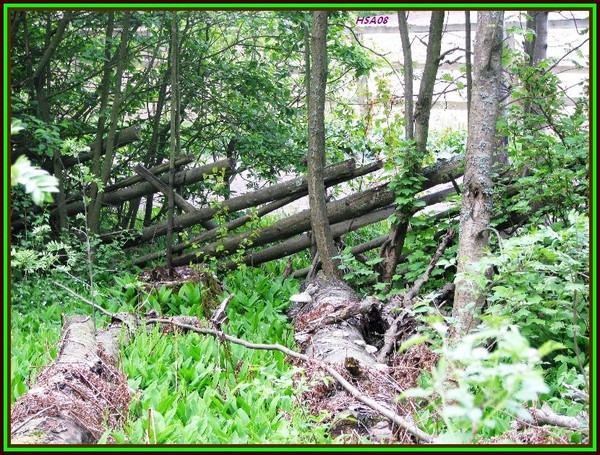outdoor/nature scenes