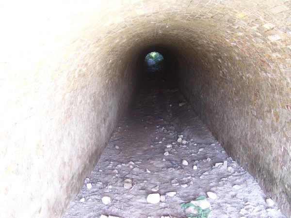 Light at the end of the Tunnel