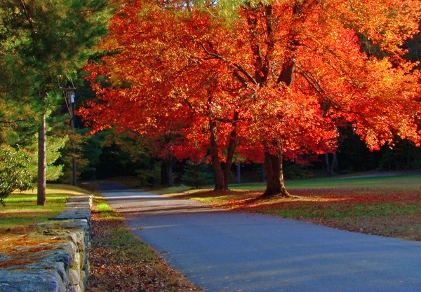 chatfield hollow