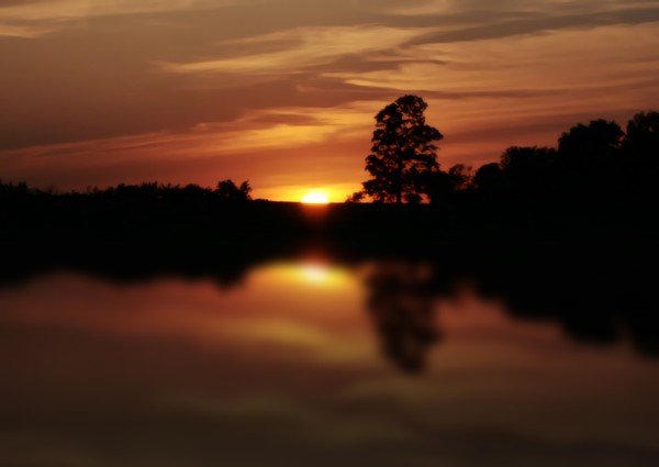 Sunset One
