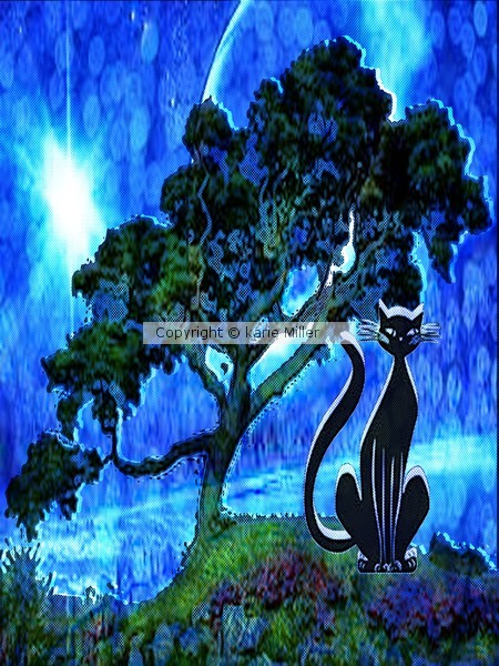 puurfect kity 5