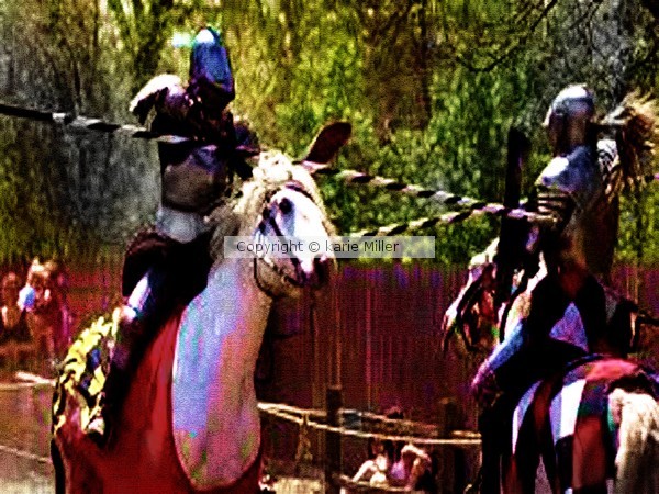 at the ren fair 2