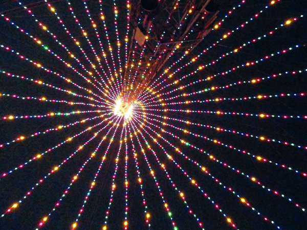 Inside the spiral