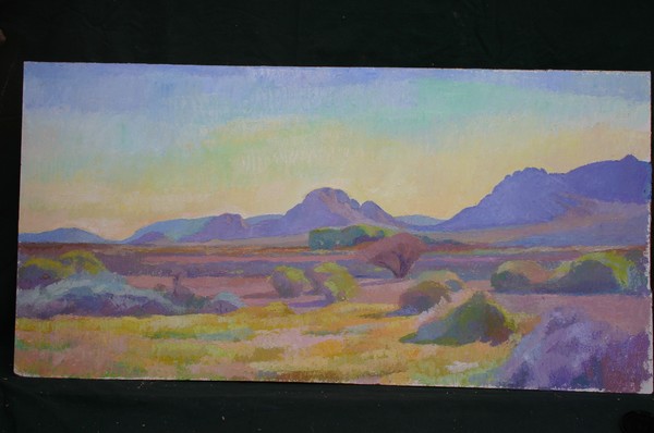 morning desert light, southern New Mexico