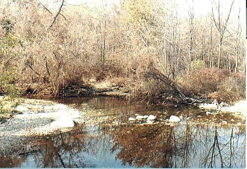 Snowy Stream