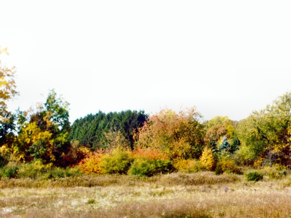 Fall colors 2