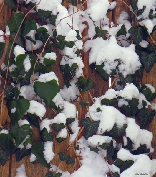 Winters Touch