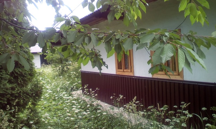 My old traditional house