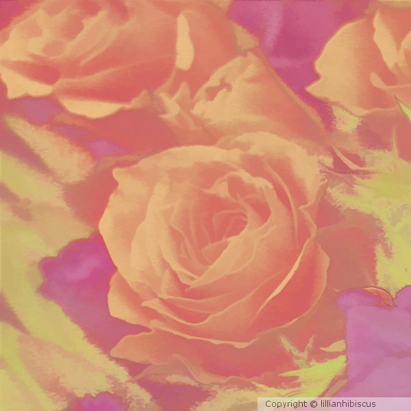 Love Roses