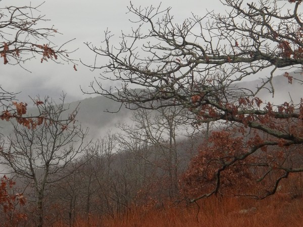 Foggy mist on the Mountain