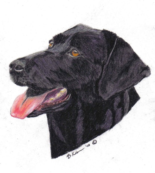 lab