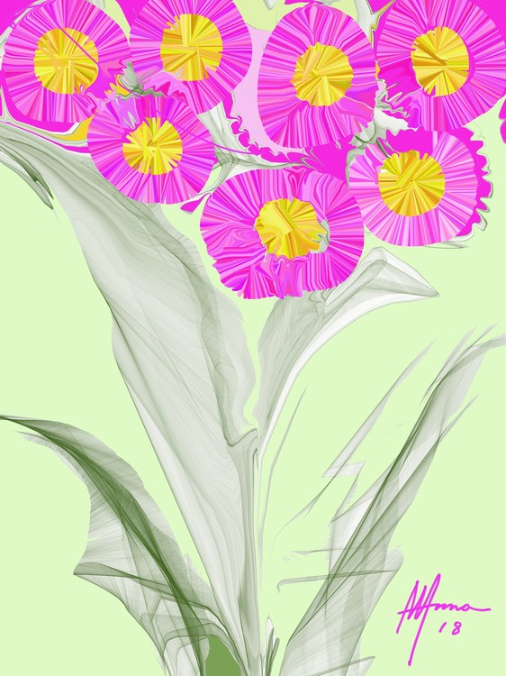 PINK FLOWERS