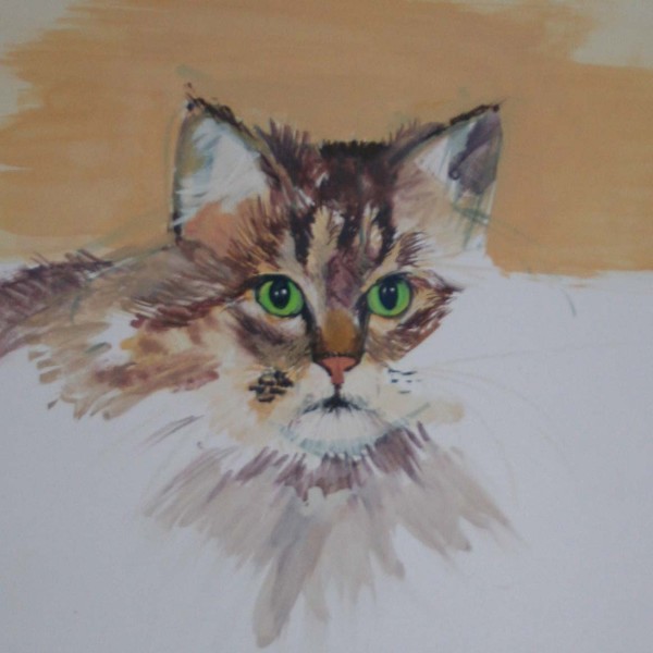 Little Cat