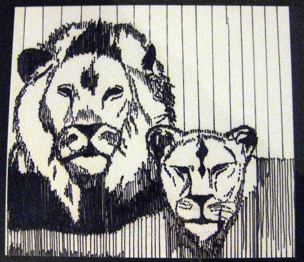 Tigers - Line Study