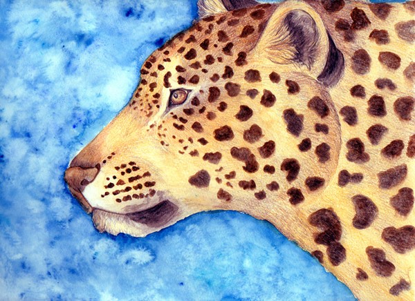 Leopard