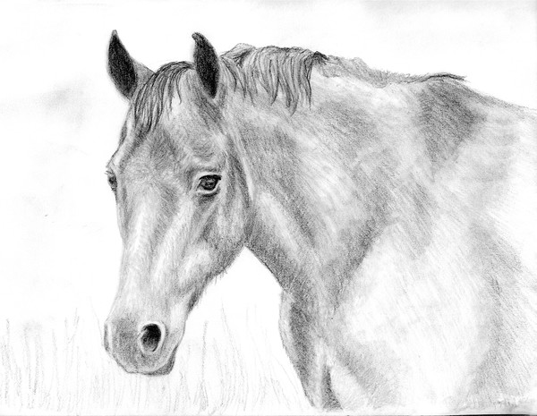 AJ